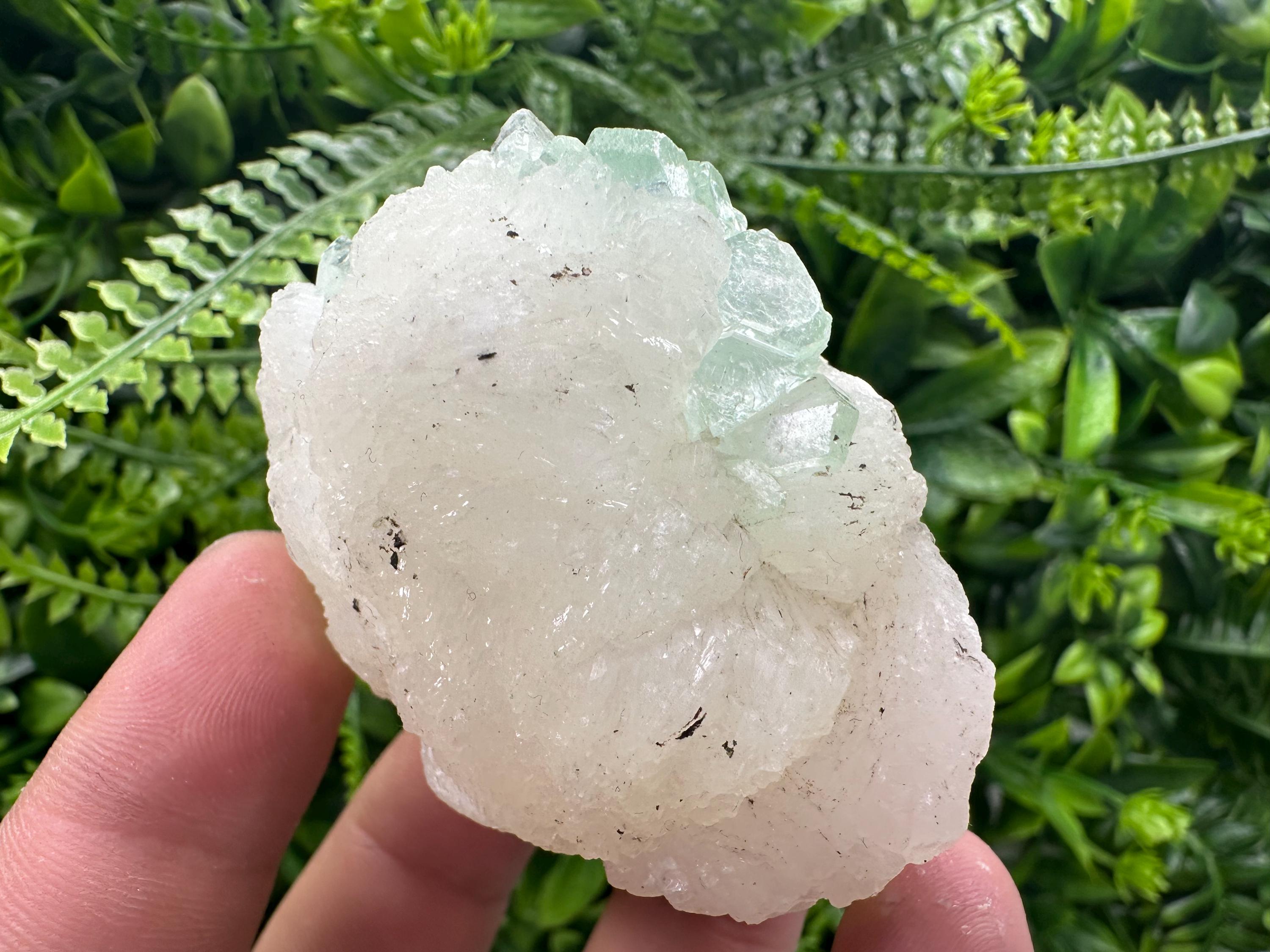 Green Apophyllite with Stilbite, India Crystal Specimen