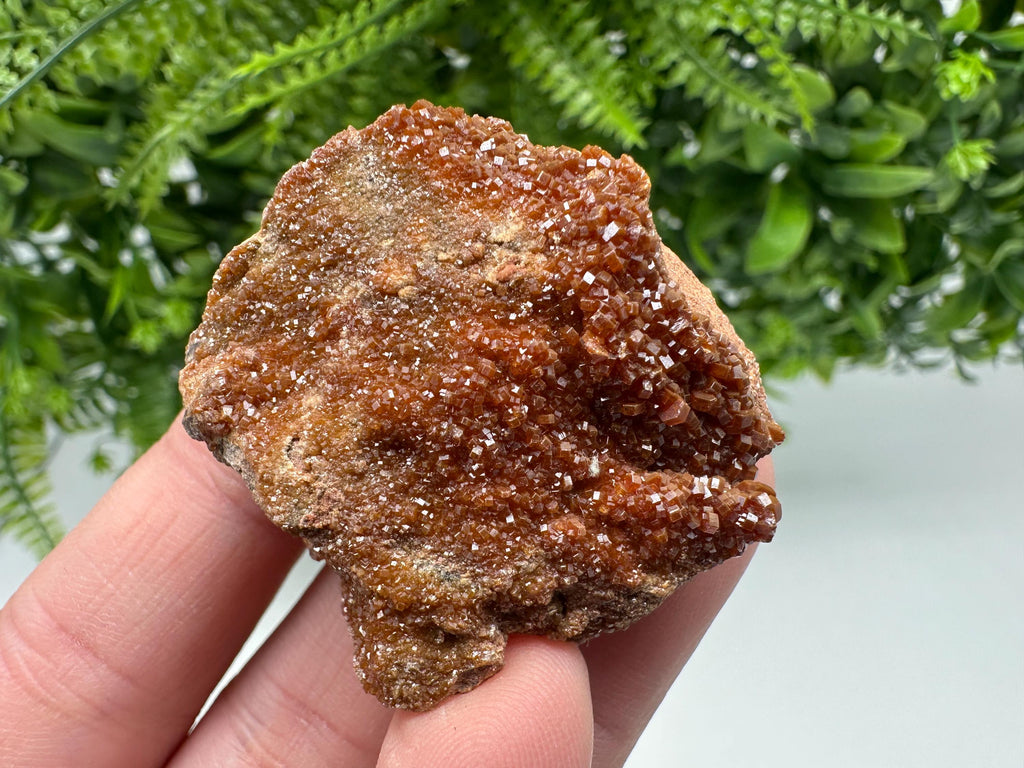 Red Vanadinite on Matrix from Marocco,crystal minerals Speciment cluster Vanadinite crystal Vanadinite Geology Vanadinite cluster minerals