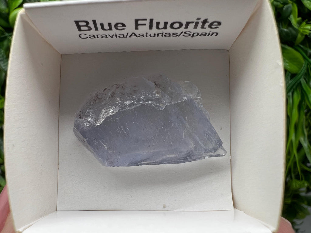 Blue Fluorite Mineral Specimen: Spain Collection (3.5/2.5 cm)