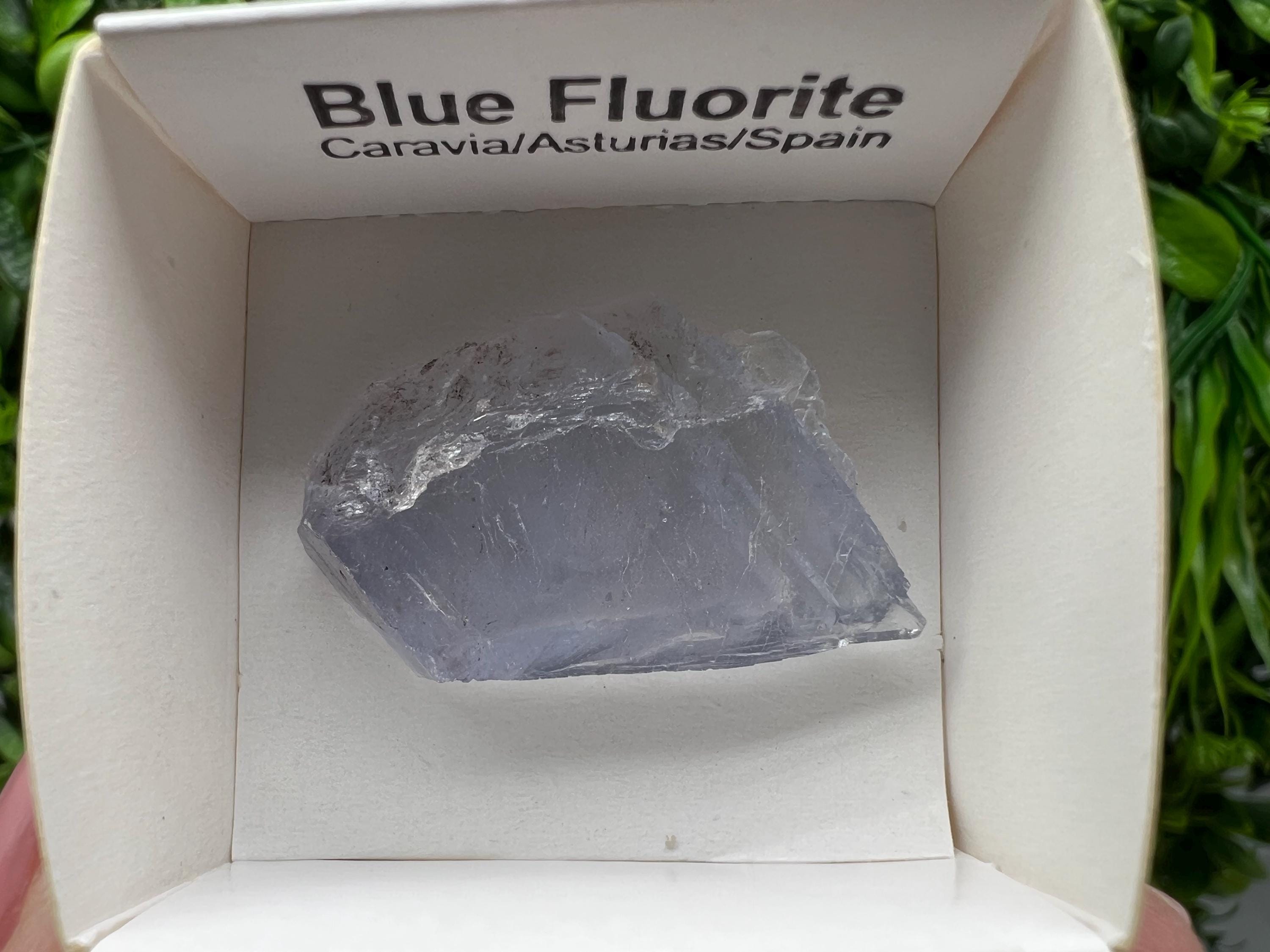 Blue Fluorite Mineral Specimen: Spain Collection (3.5/2.5 cm)