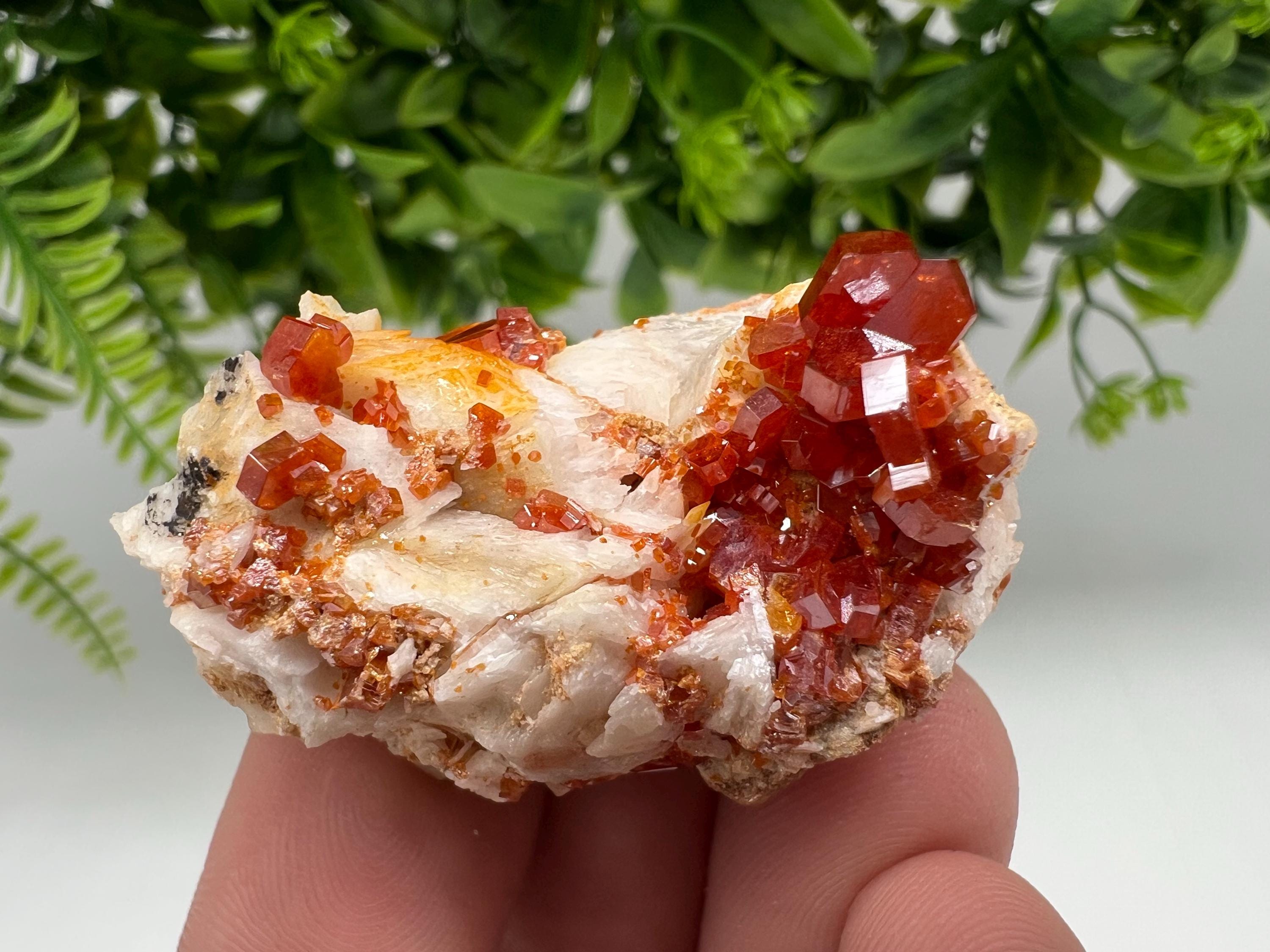 Red Vanadinite on Barite from Marocco,crystal minerals Speciment cluster Vanadinite crystal Vanadinite Geology Vanadinite cluster minerals