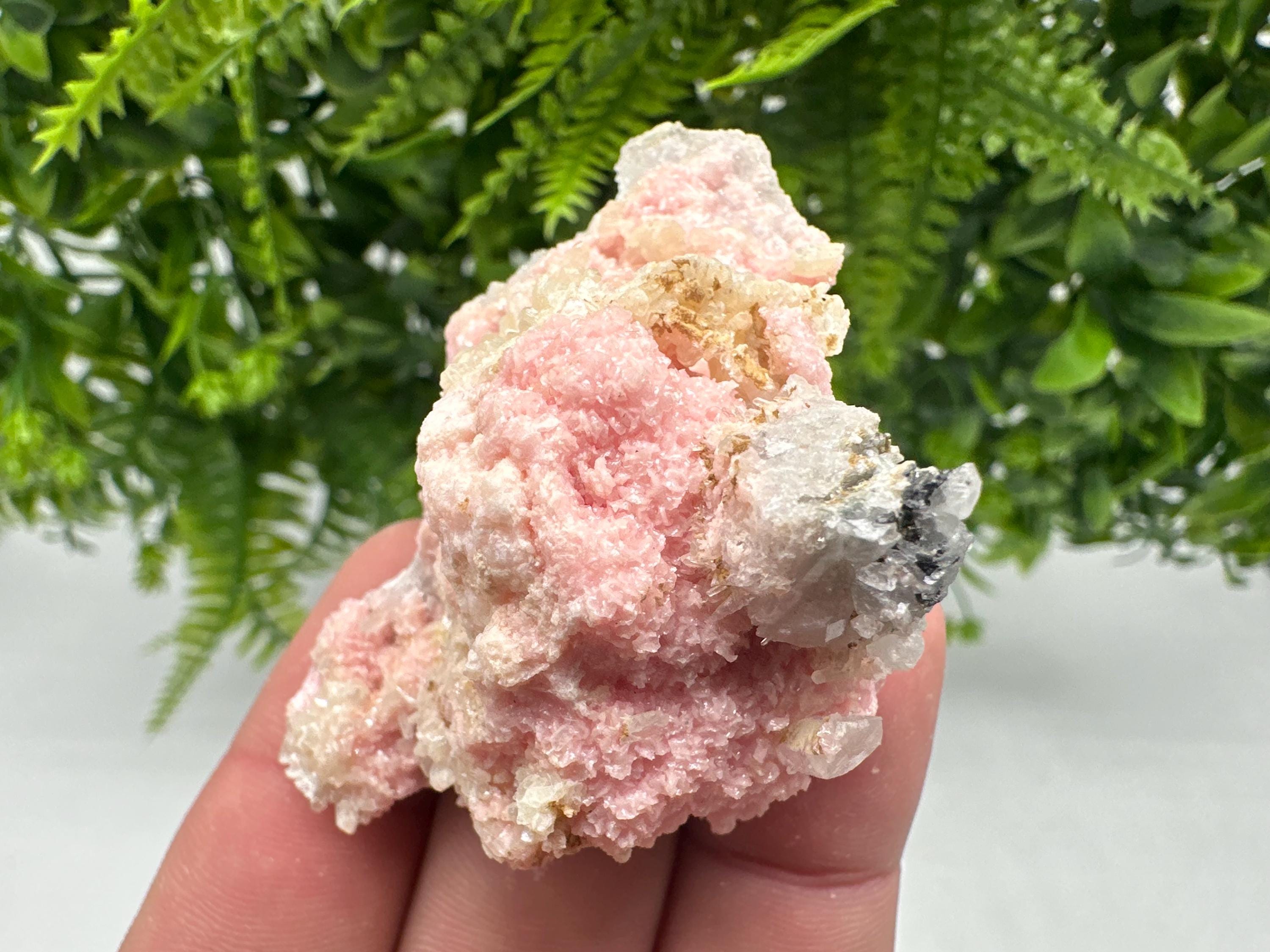 Pink Rhodochrosite Mineral Specimen, Starnica Mine, Bulgaria