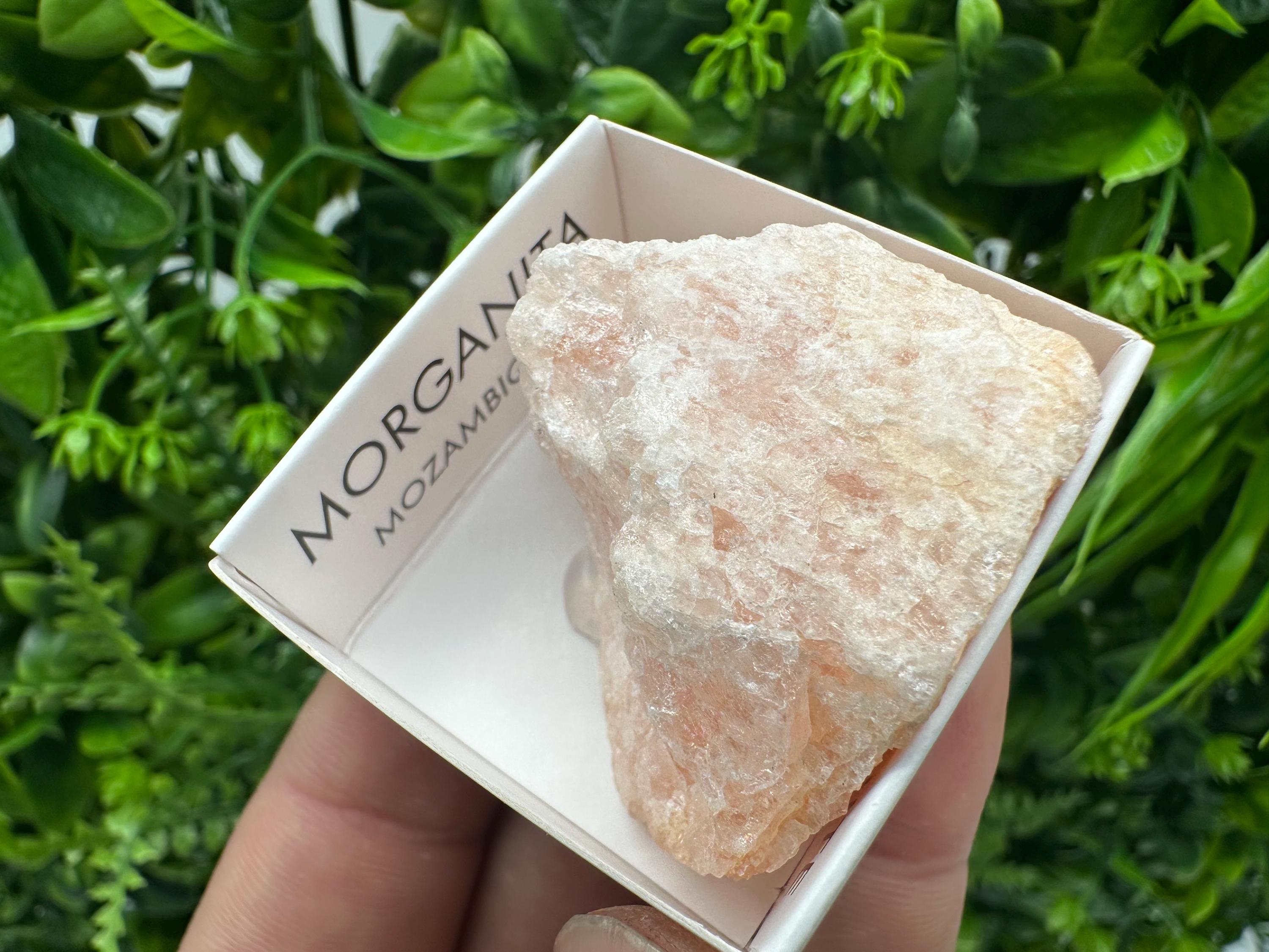 Rare Raw Morganite Mineral Specimen: Mozambique Crystal (4/4 cm)