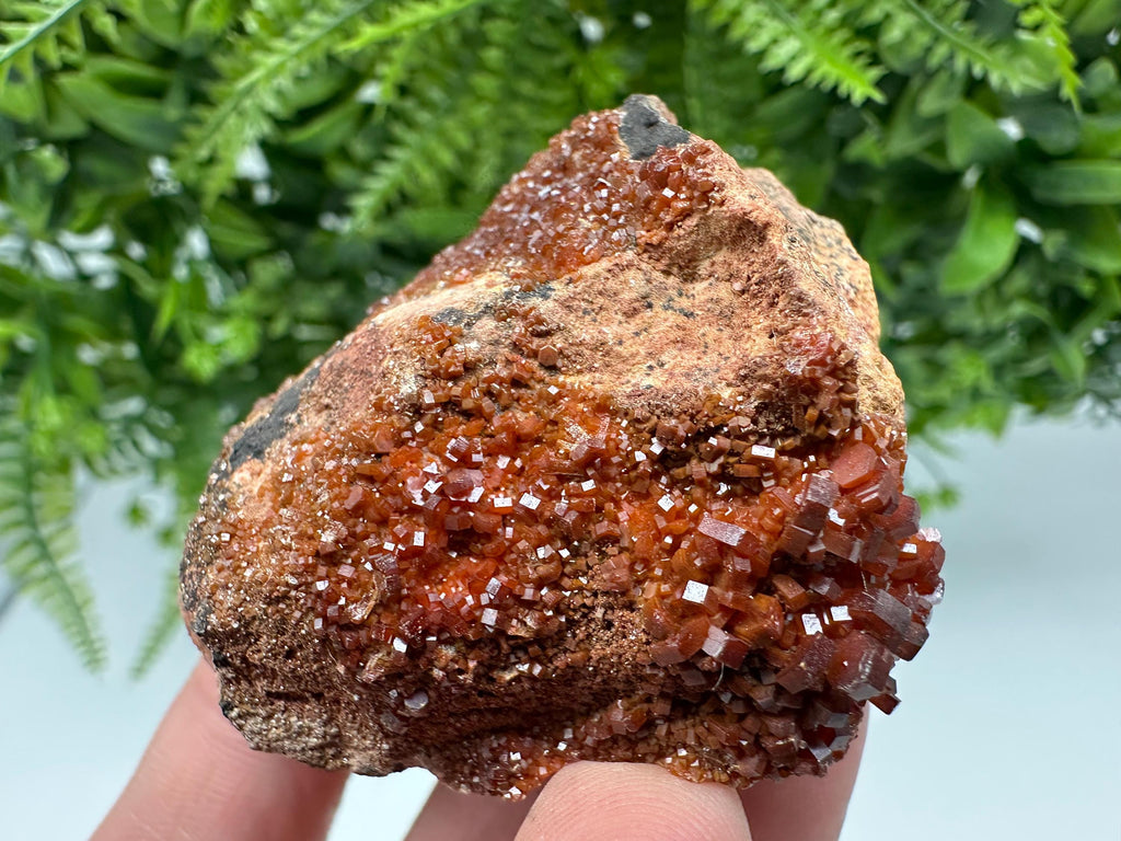 Red Vanadinite on Matrix from Marocco,crystal minerals Speciment cluster Vanadinite crystal Vanadinite Geology Vanadinite cluster minerals