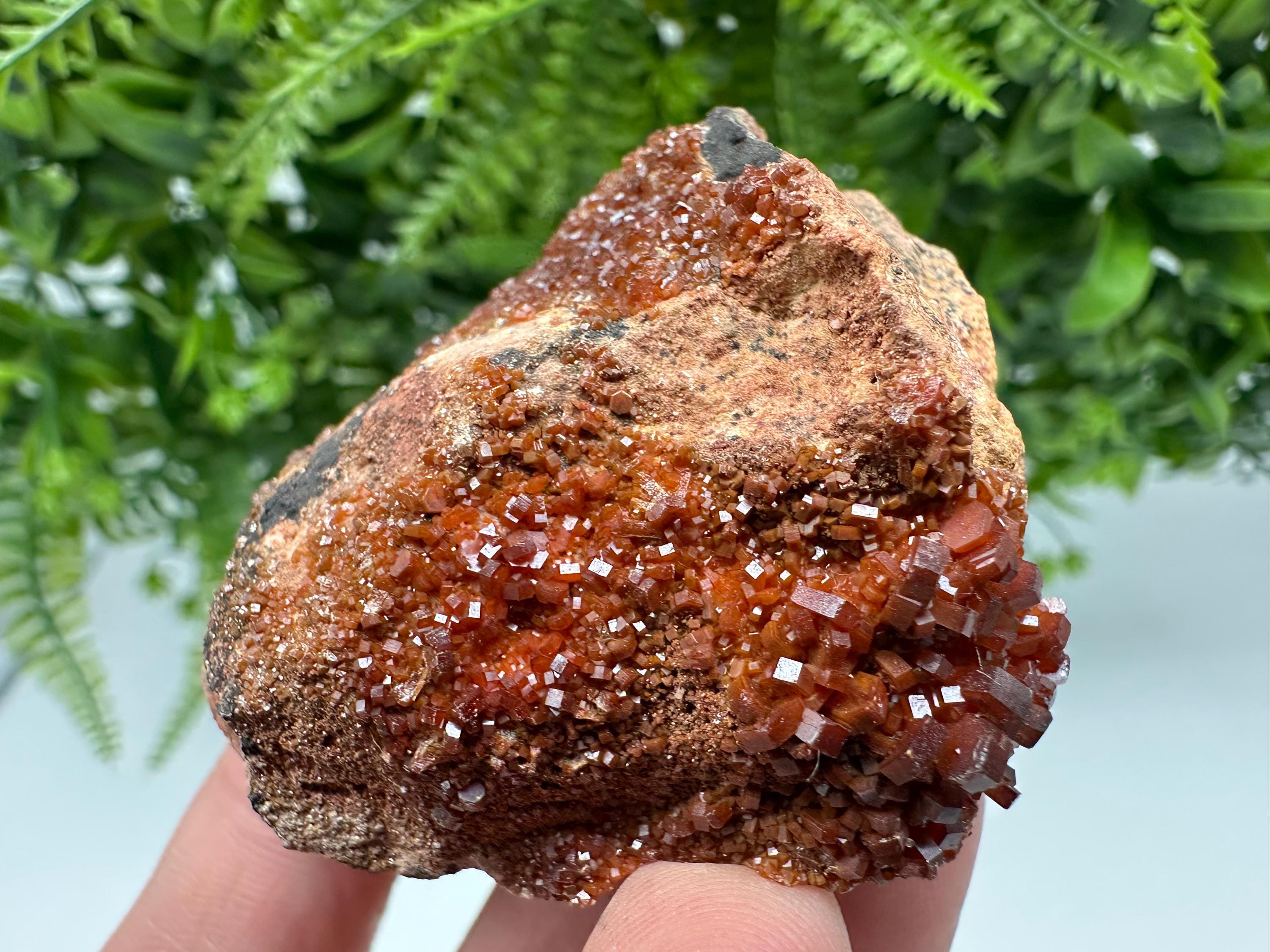 Red Vanadinite on Matrix from Marocco,crystal minerals Speciment cluster Vanadinite crystal Vanadinite Geology Vanadinite cluster minerals