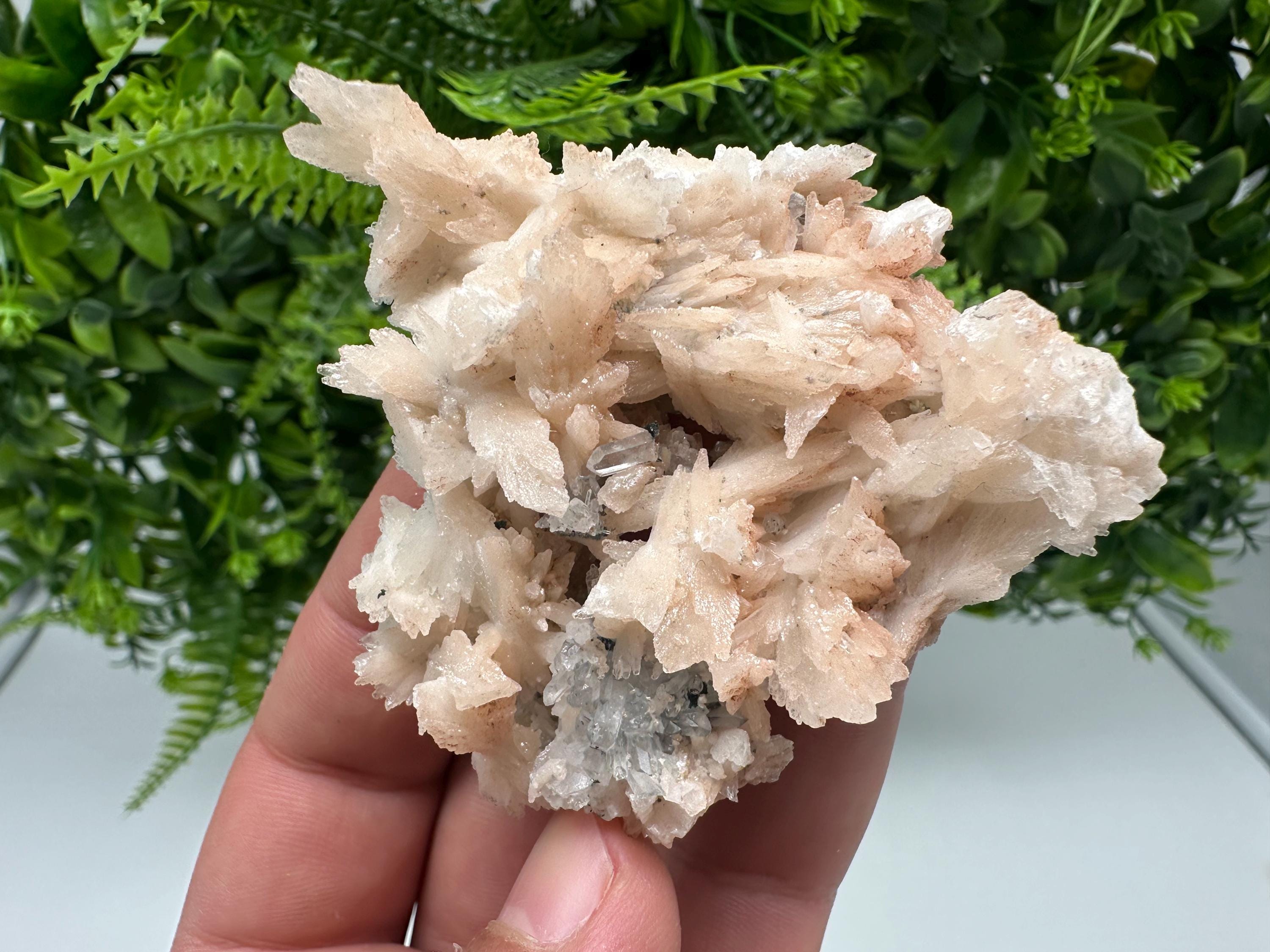Calcite on Green Quartz: Djurcovo Mine, Bulgaria Crystal