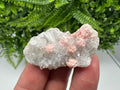 Rhodochrosite on Quartz: Pink Crystal Home Decor, Bulgaria Mineral Souvenir
