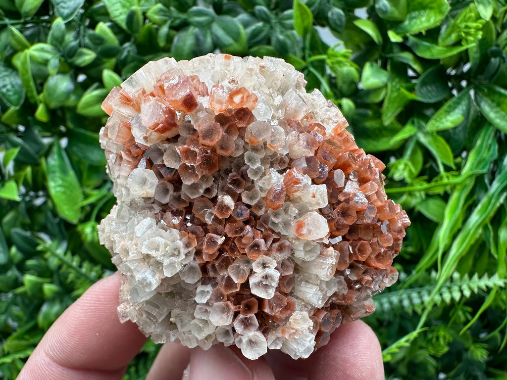 Moroccan Aragonite Sputnik Cluster: Raw Crystal Stone Decor