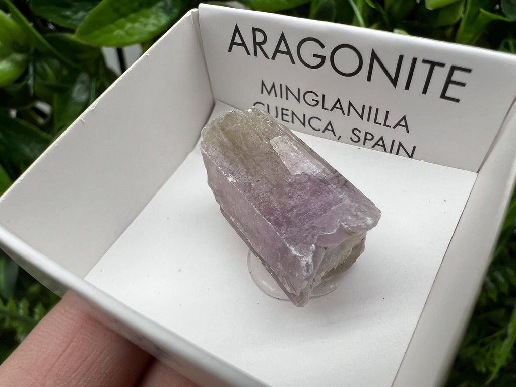 Amazing Aragonite from Spain,Aragonite crystal,cluster,natural,mineral,specimen,Purple Aragonite,Spanish Aragonite,Mineralcollection