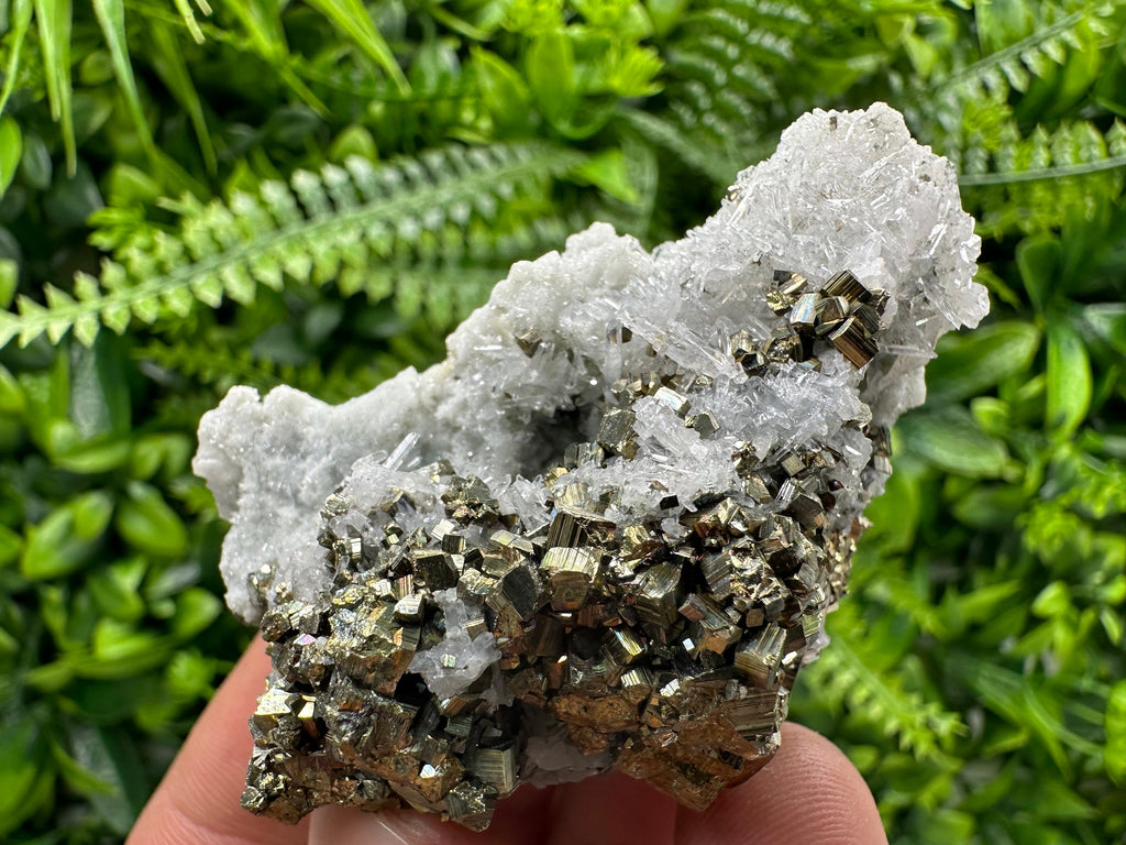 Pyrite on Quartz: Borieva Mine Crystal Home Decor