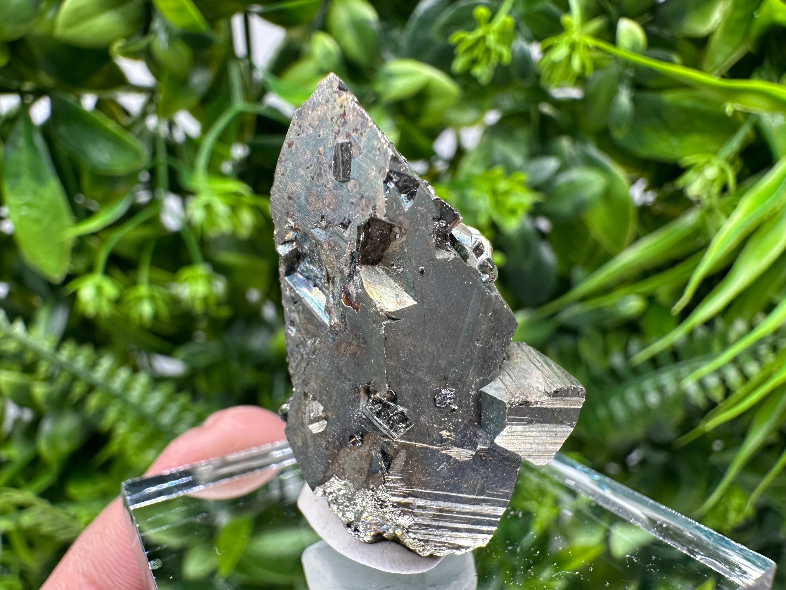 Rare Mini Pyrite Cluster: Borieva Mine, Bulgaria