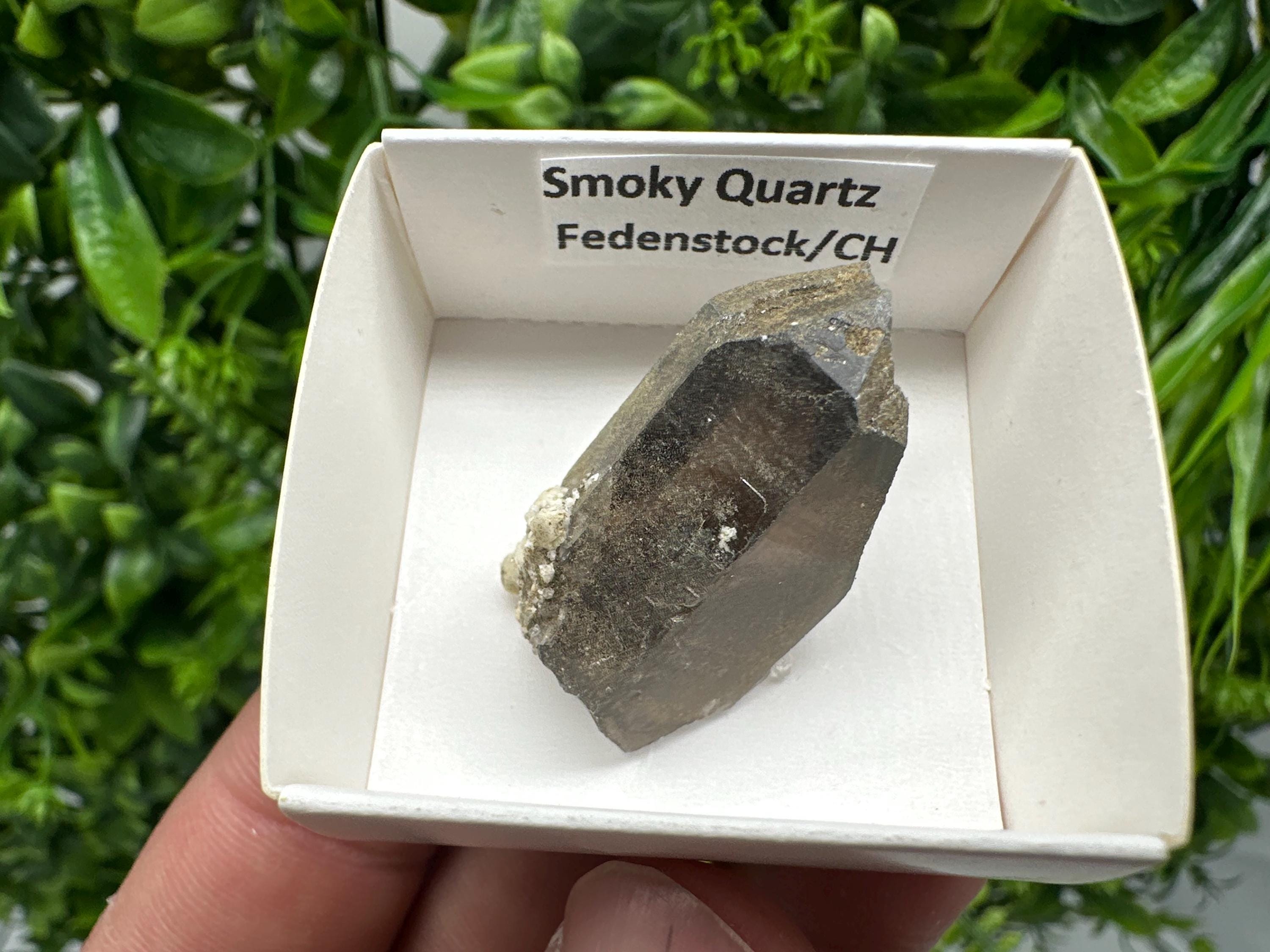 Rare Smoky Quartz Point from Fedenstock Switzerland (35mm)