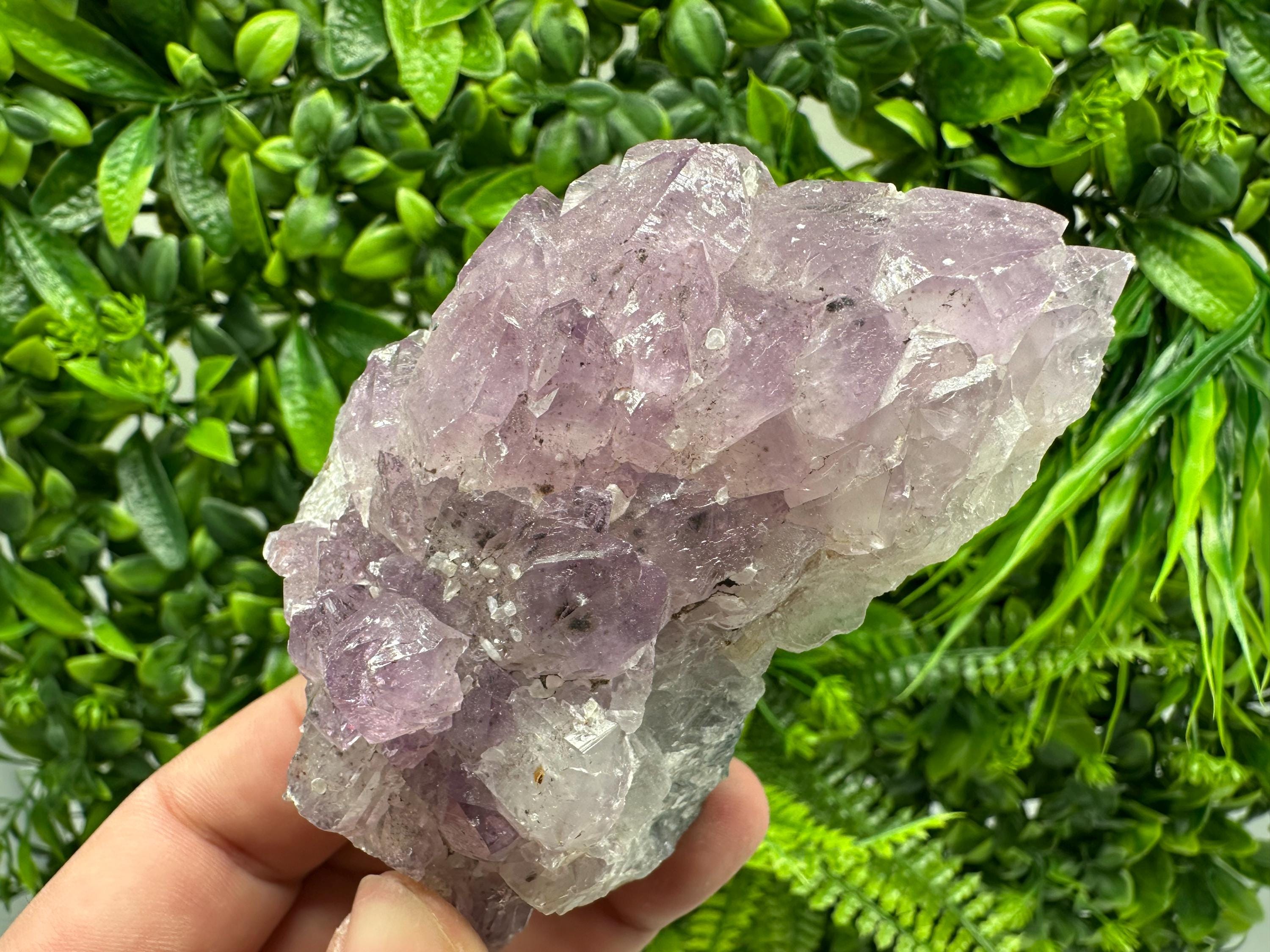 Brazilian Amethyst Cluster, Purple Quartz Crystal Specimen