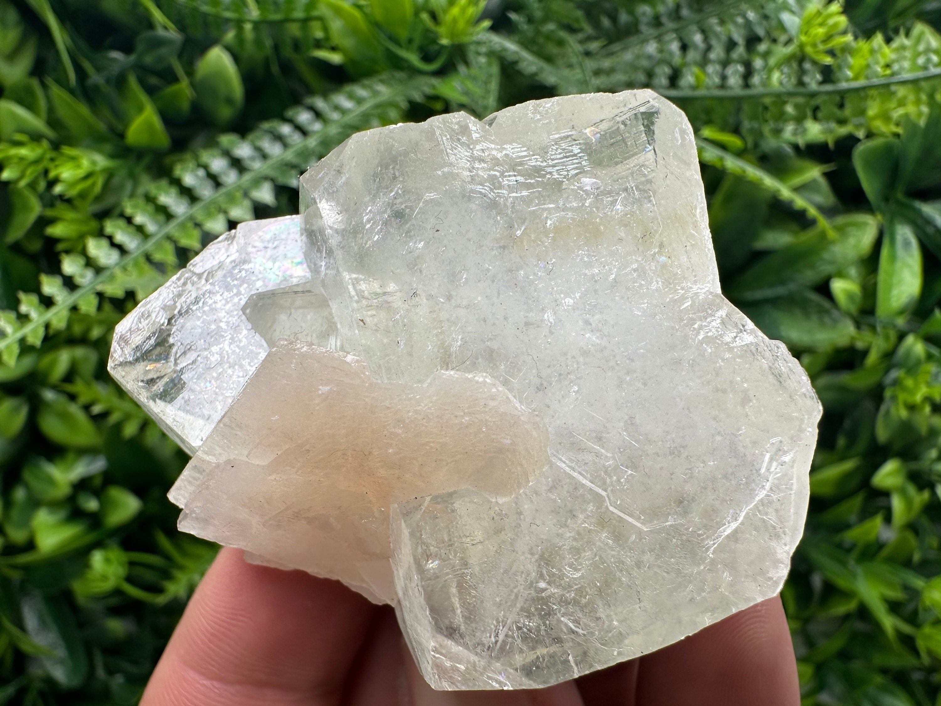 Apophyllite with Stilbite, India Mineral Specimen, Rare Crystal