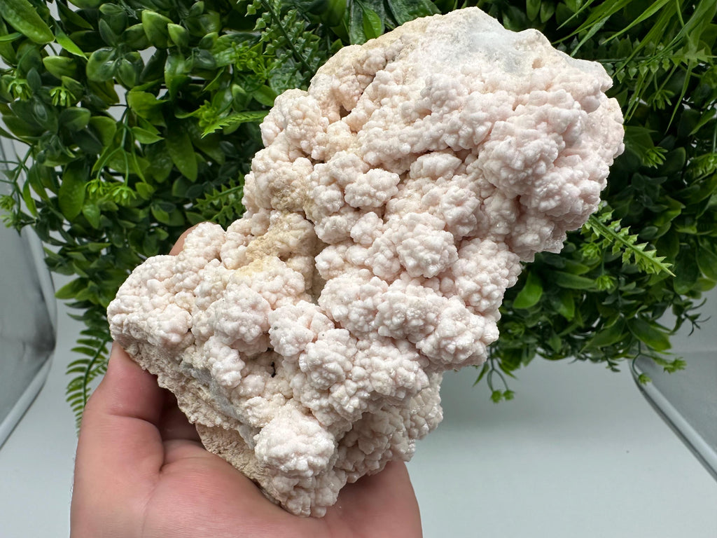 Pink Manganocalcite Specimen, Krushev dol Mine, Bulgaria
