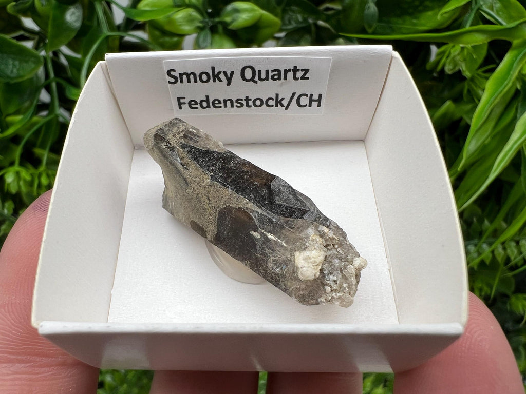 Rare Fedenstock Smoky Quartz Point, Swiss Mineral Specimen (40mm)