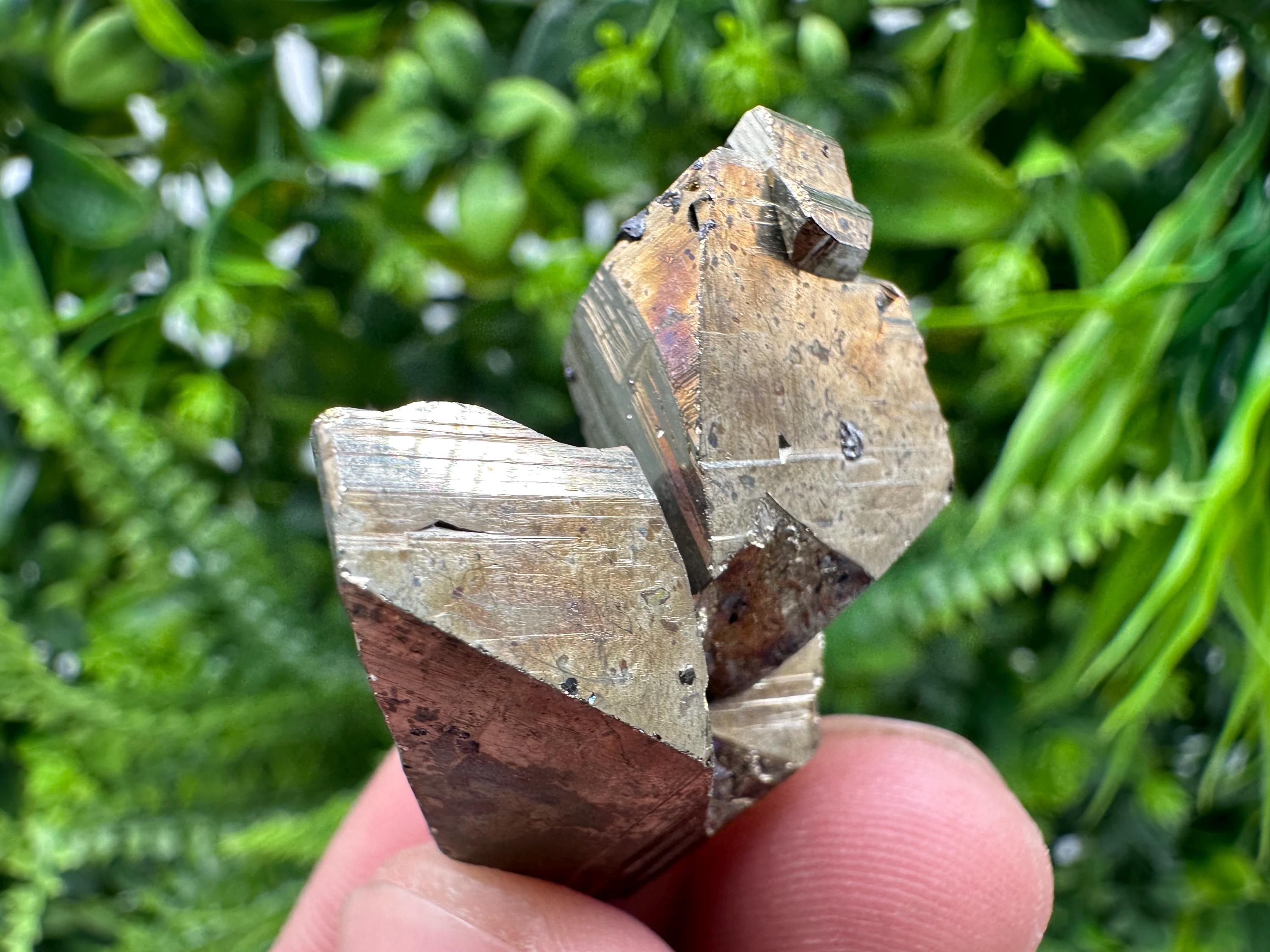 Mini Rainbow Pyrite Cluster, Borieva Mine Crystallization Specimen