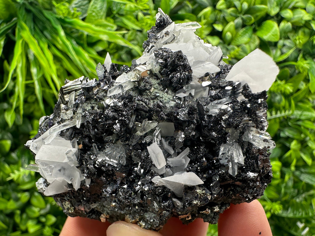 Pyrite Calcite on Sphalerite with Quartz, Borieva Mine Mineral Specimen