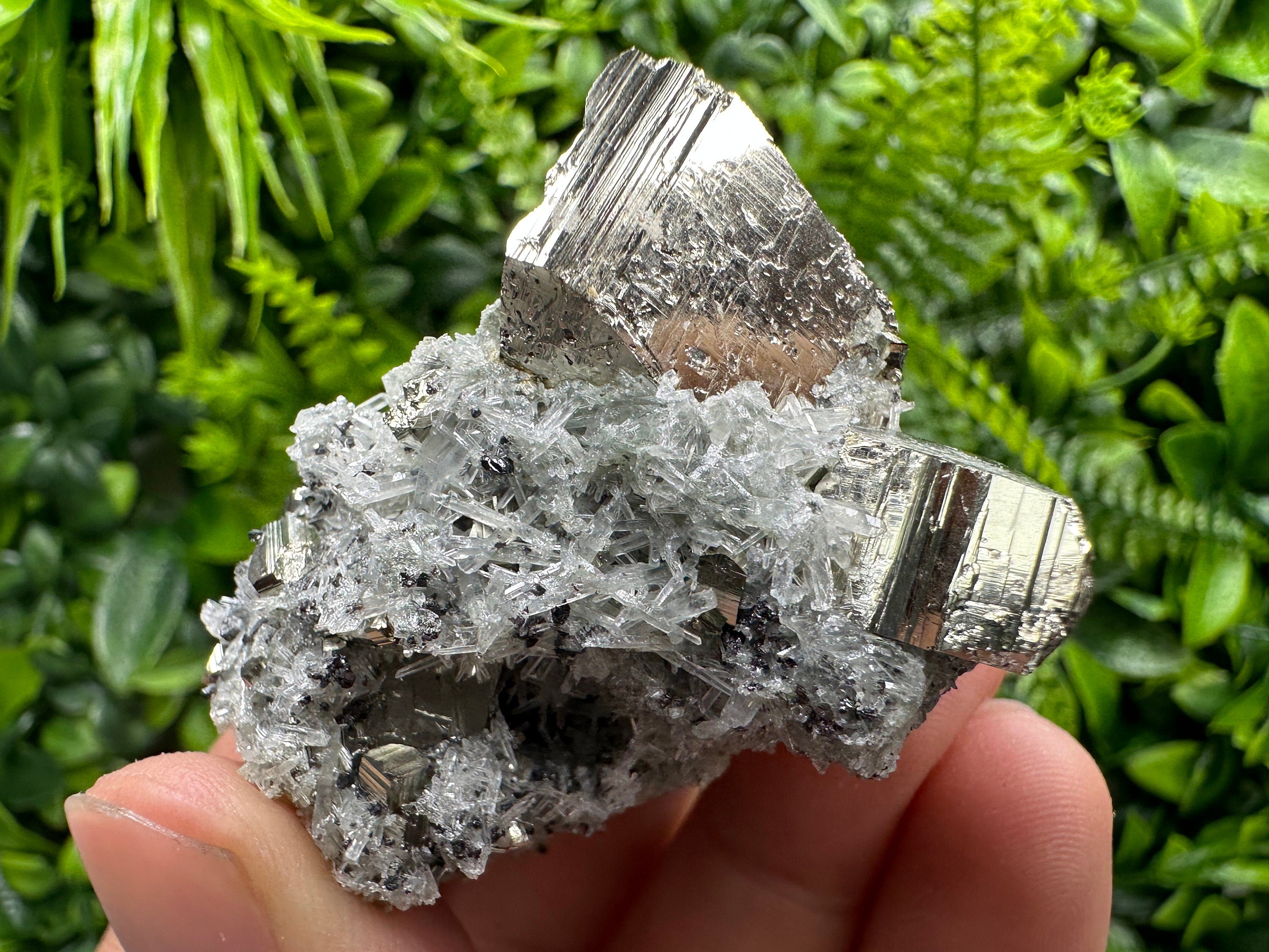 Pyrite on Needle Quartz: Chlorite Inclusions, Borieva Mine, Bulgaria