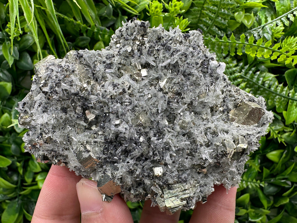 Pyrite on Quartz Needles: Borieva Mine Bulgaria Crystal Decor