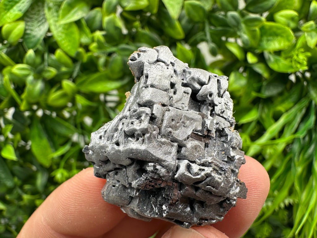 Skeletal Galena on Sphalerite: Natural Mineral Crystal Decor