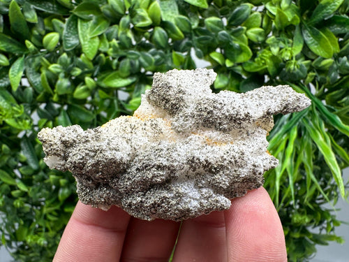 Barite Marcasite on Chalcedony Cluster, Androvo Mine, Bulgaria
