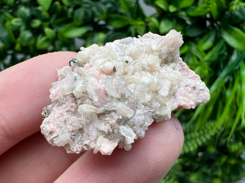 Pink Rhodochrosite Crystal: Starnica Mine, Bulgaria