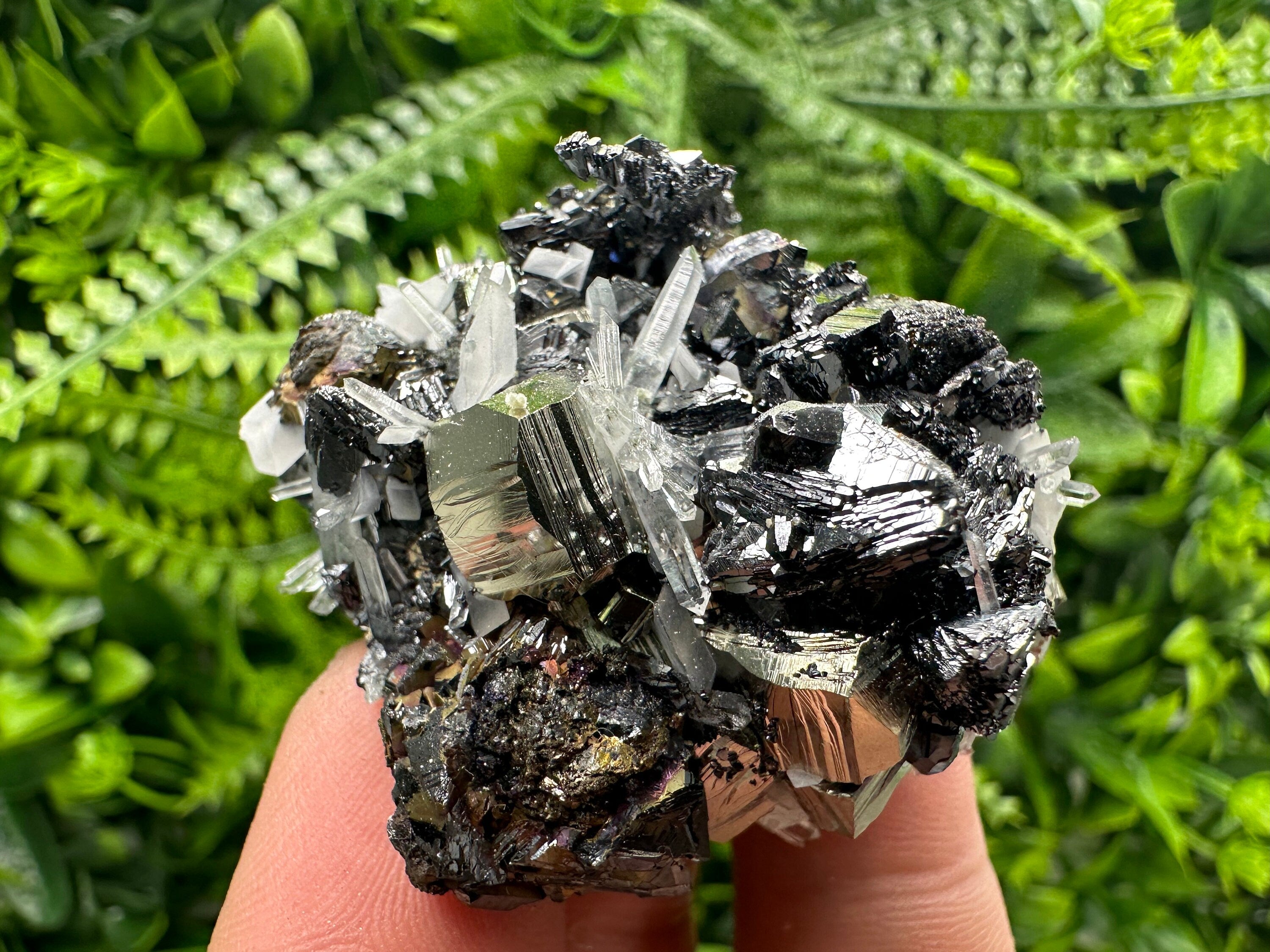 Pyrite Sphalerite Quartz Cluster, Borieva Mine Mineral Specimen