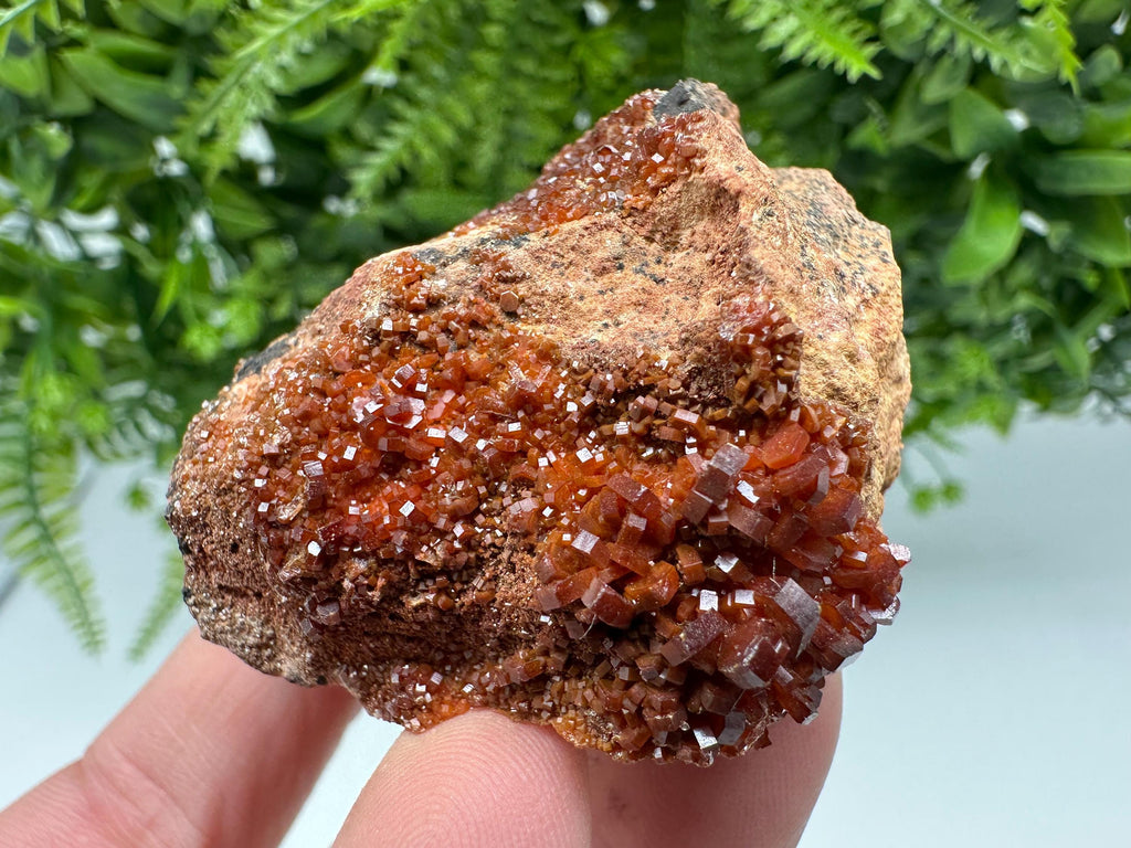 Red Vanadinite on Matrix from Marocco,crystal minerals Speciment cluster Vanadinite crystal Vanadinite Geology Vanadinite cluster minerals