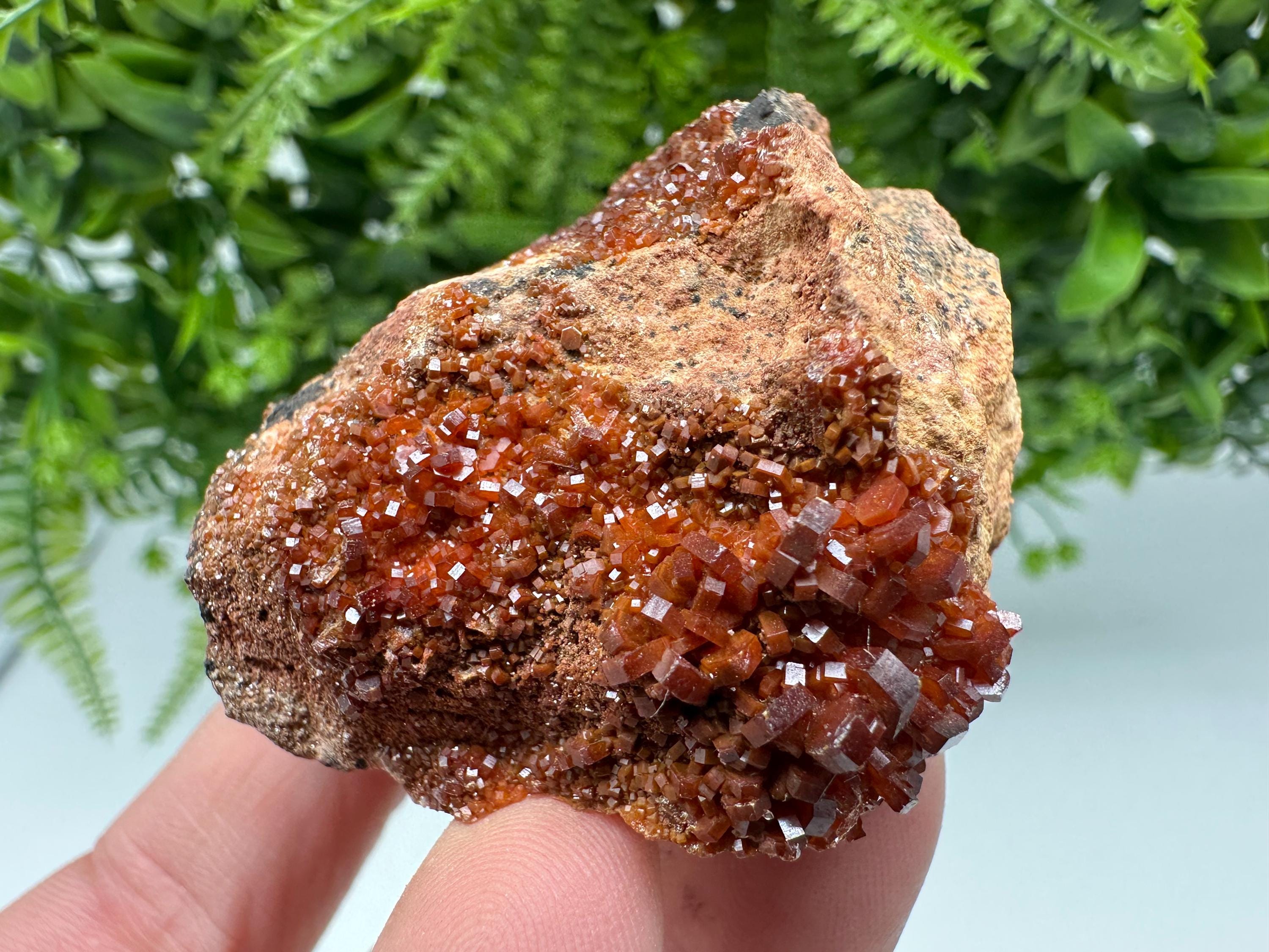 Red Vanadinite on Matrix from Marocco,crystal minerals Speciment cluster Vanadinite crystal Vanadinite Geology Vanadinite cluster minerals