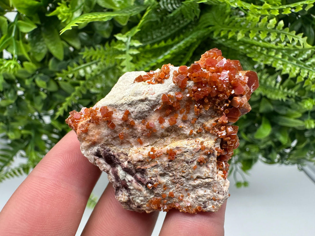 Red Vanadinite on Barite, Moroccan Crystal Specimen