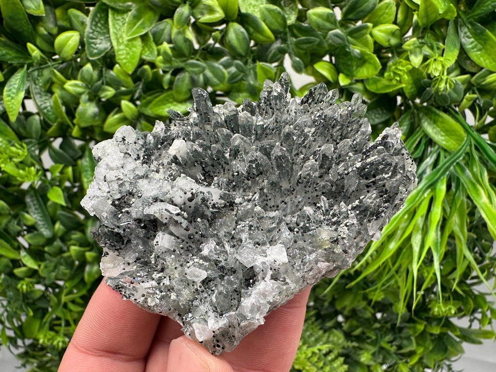 Chlorite Quartz Crystal Cluster - Borieva Mine, Bulgaria