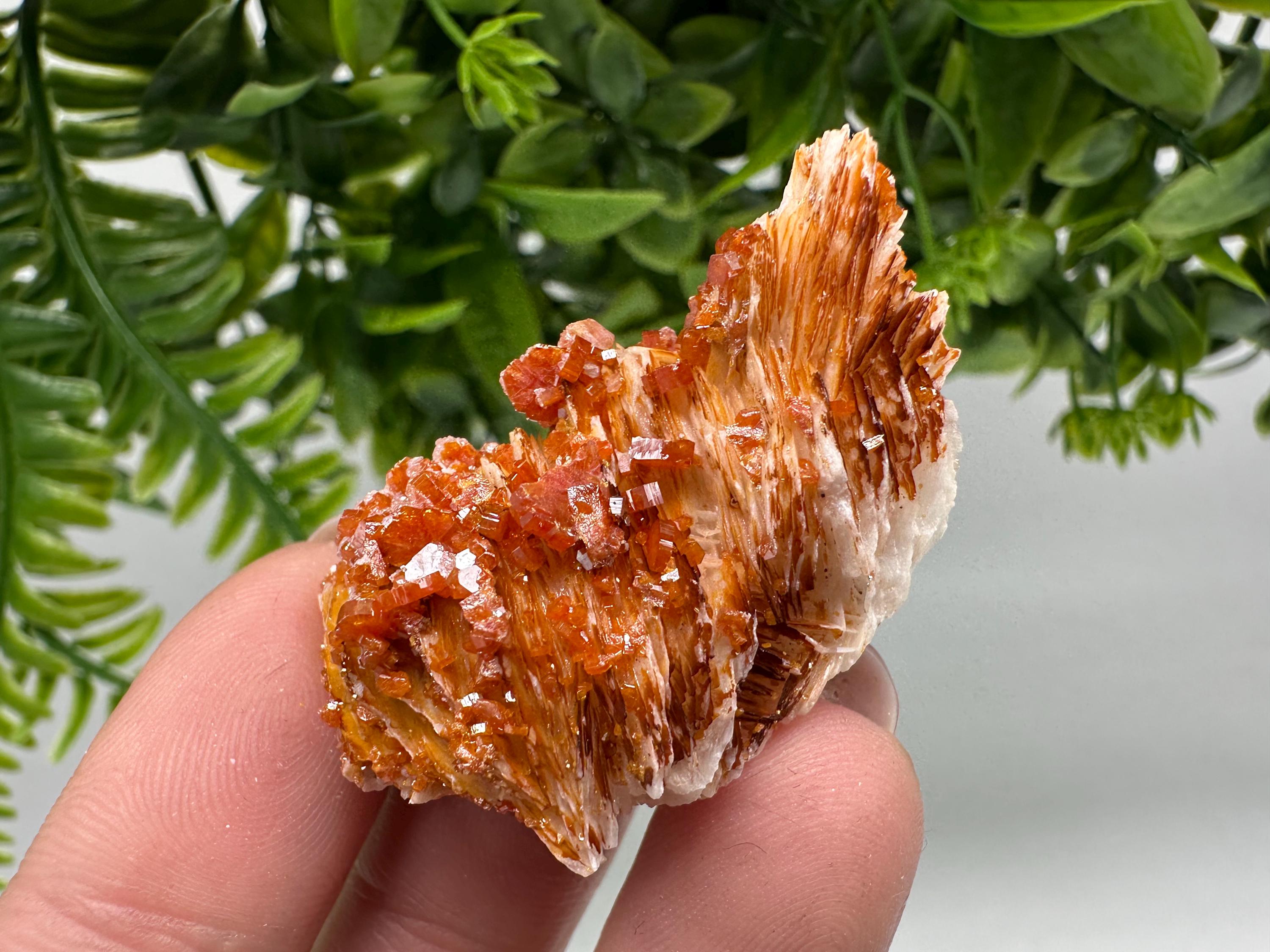 Red Vanadinite Crystal Cluster on Barite, Morocco Mineral Specimen