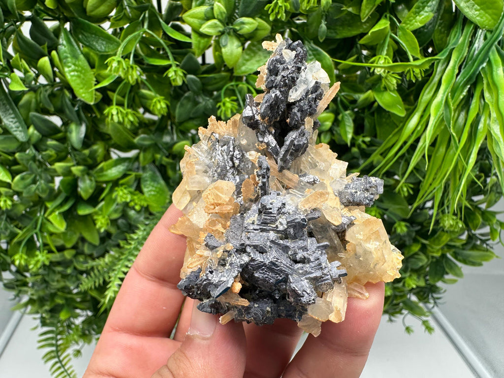 Galena Cluster with Siderite and Quartz: 9th September Mine, Bulgaria