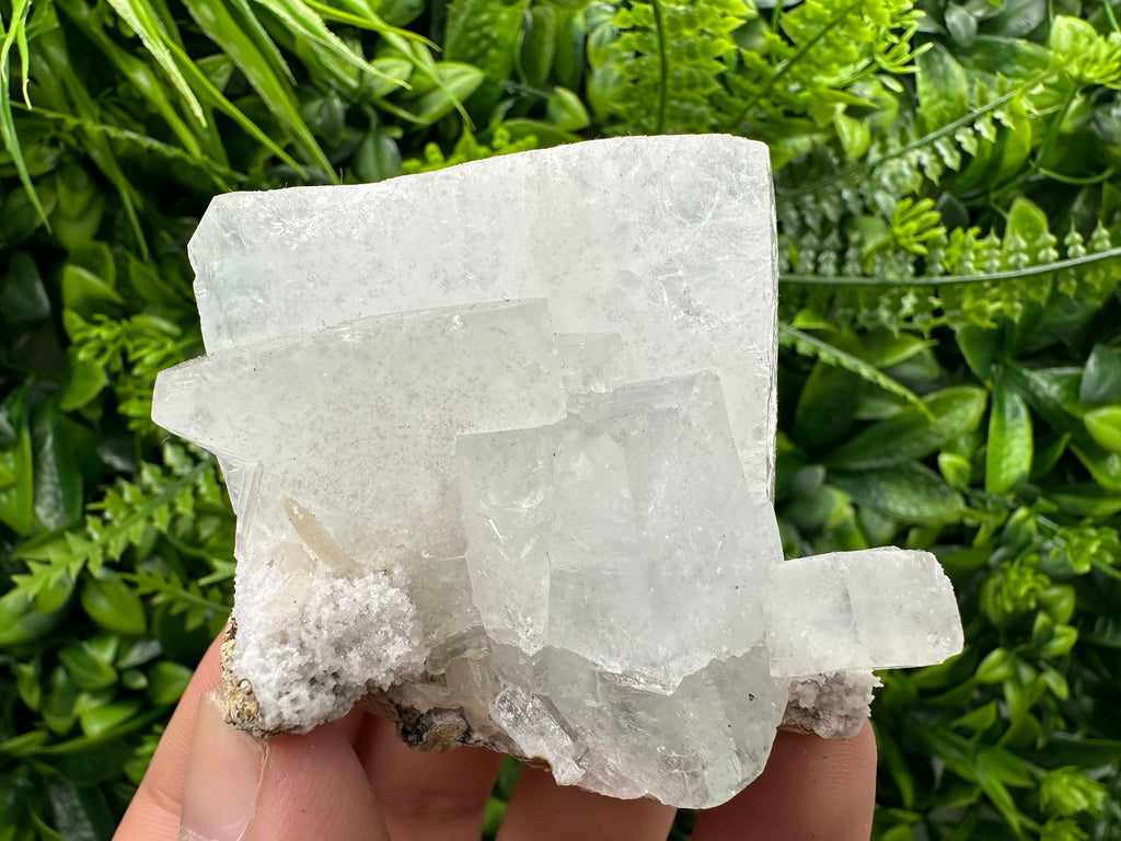 Transparent Apophyllite on Chalcedony, India Minerals Specimen