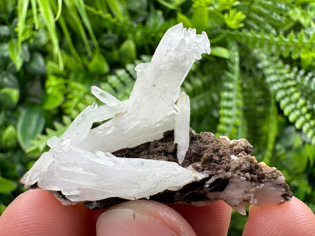 Quartz with Chlorite, Rhodochrosite and Siderite Crystal Mineral Specimen