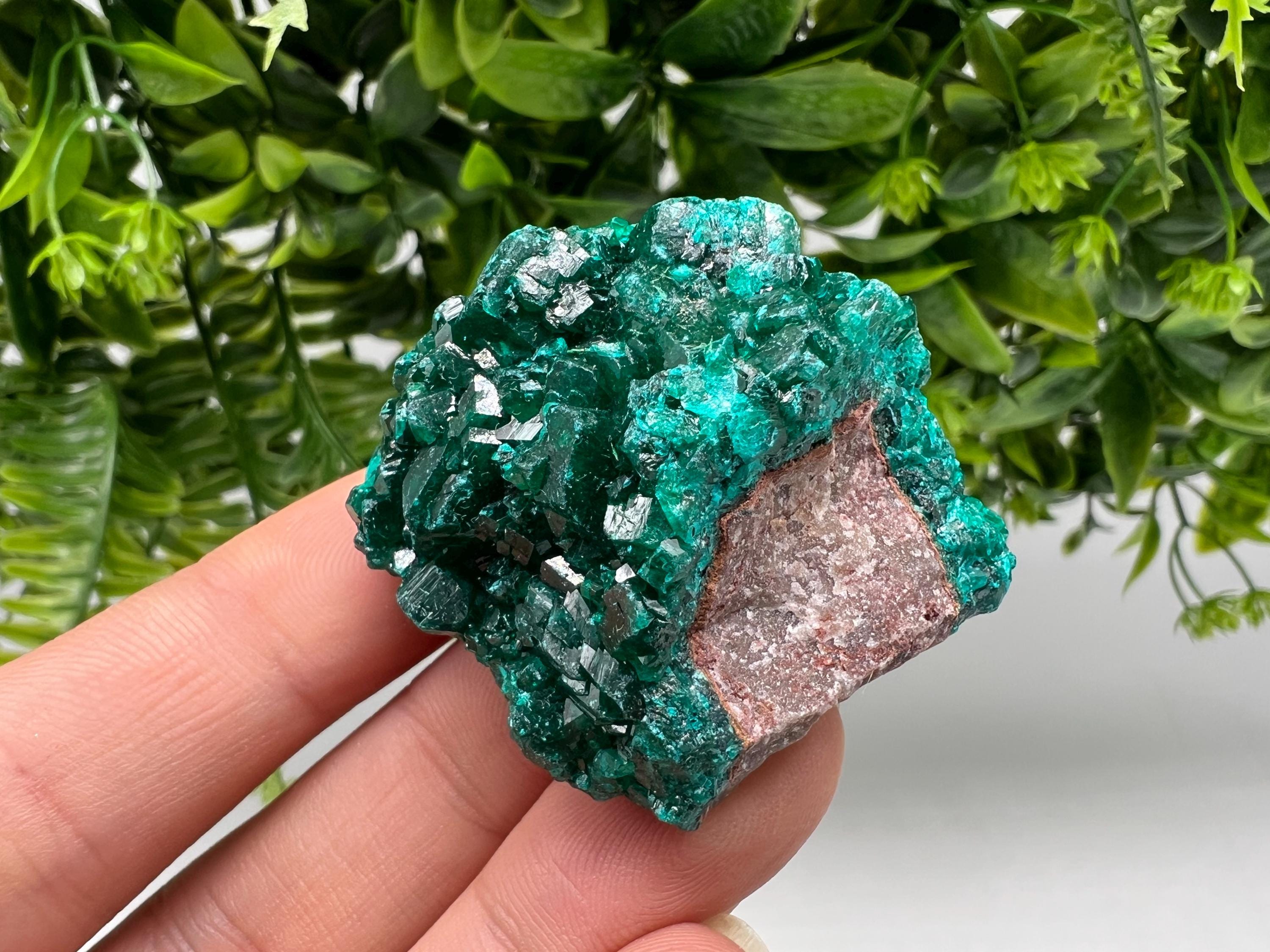 Stunning Green Dioptase from Sanda Hills,Mindouli,Pool Department,Mindouli District,Congo,green Dioptase,Dioptas Crystal,Dioptase collecting
