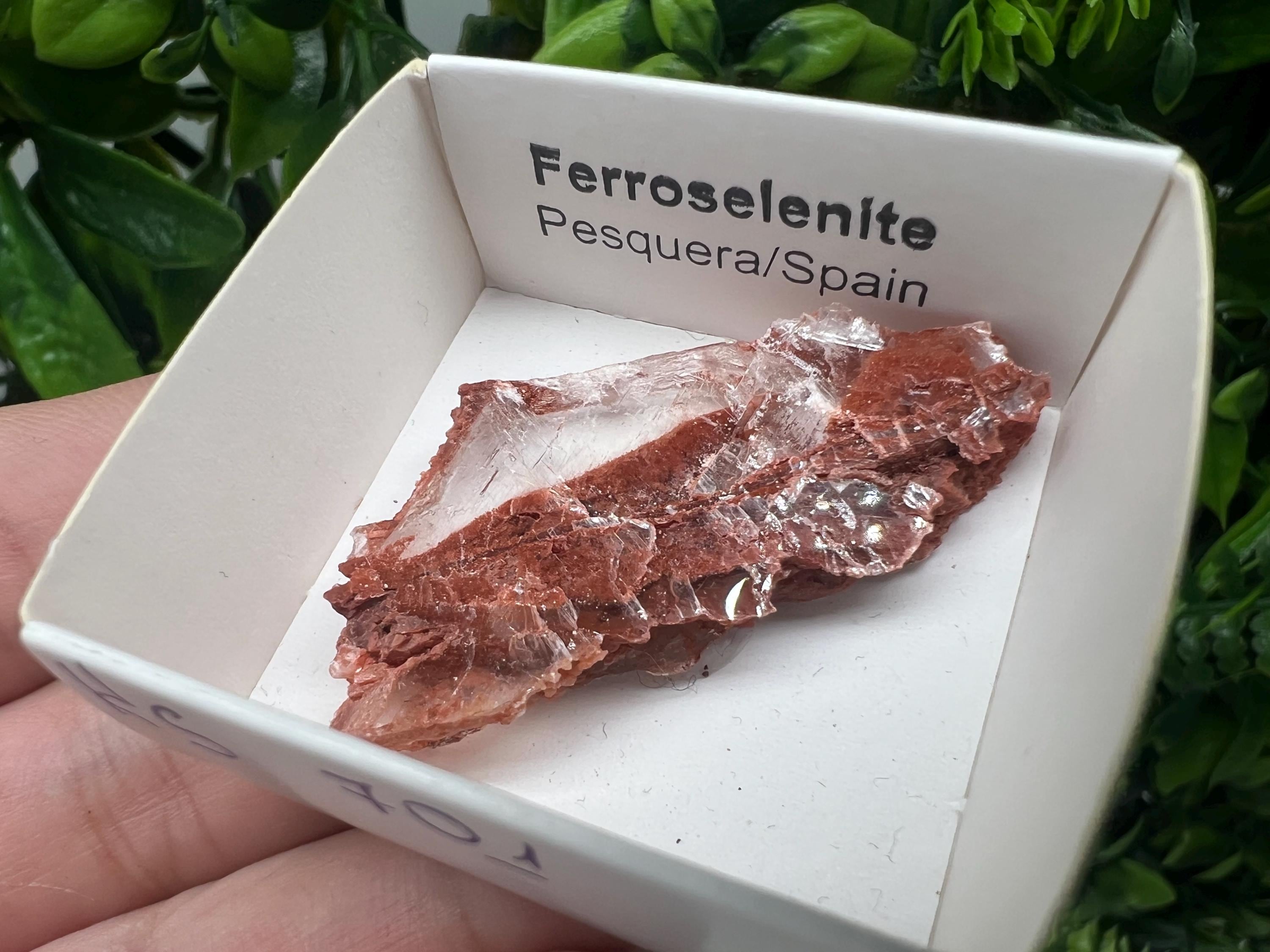 Rare Ferroselenite Crystal Specimen: La Pesquera, Spain (4.5/2.5 cm)