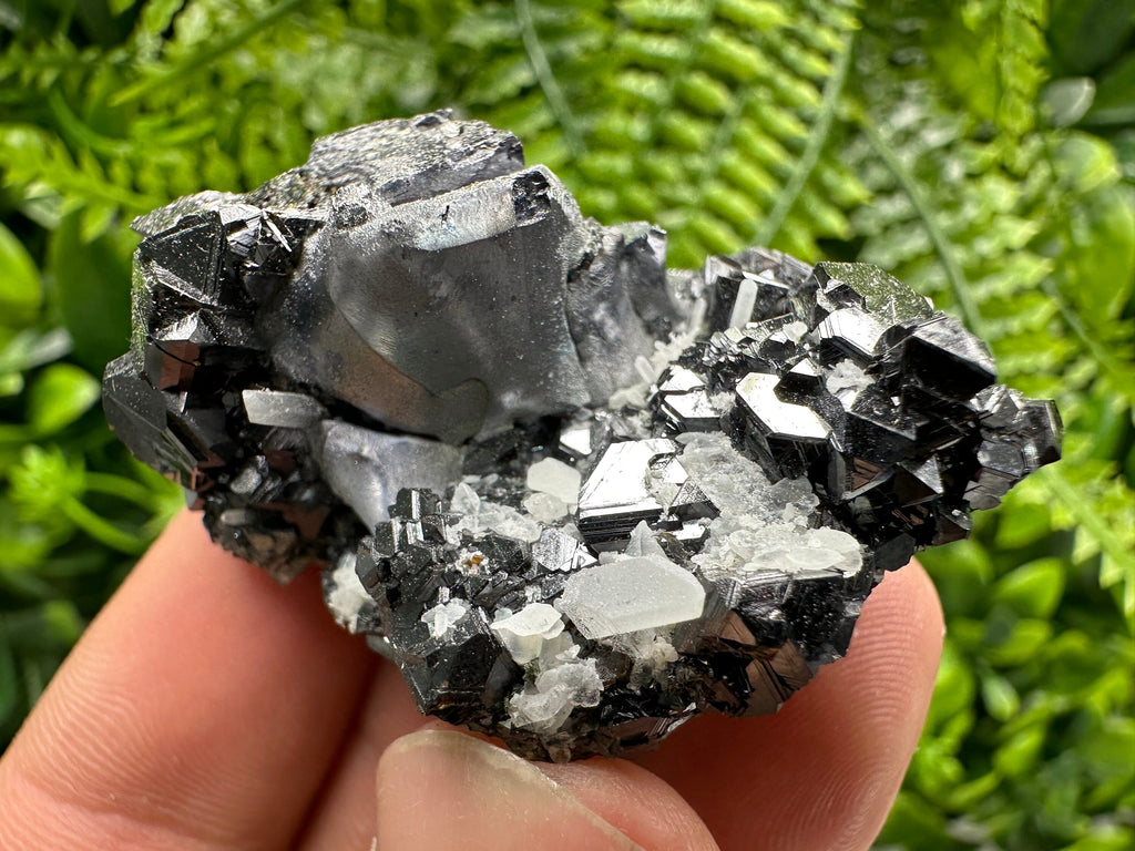 Mirror Galena on Sphalerite with Quartz, Borieva Mine Mineral Specimen