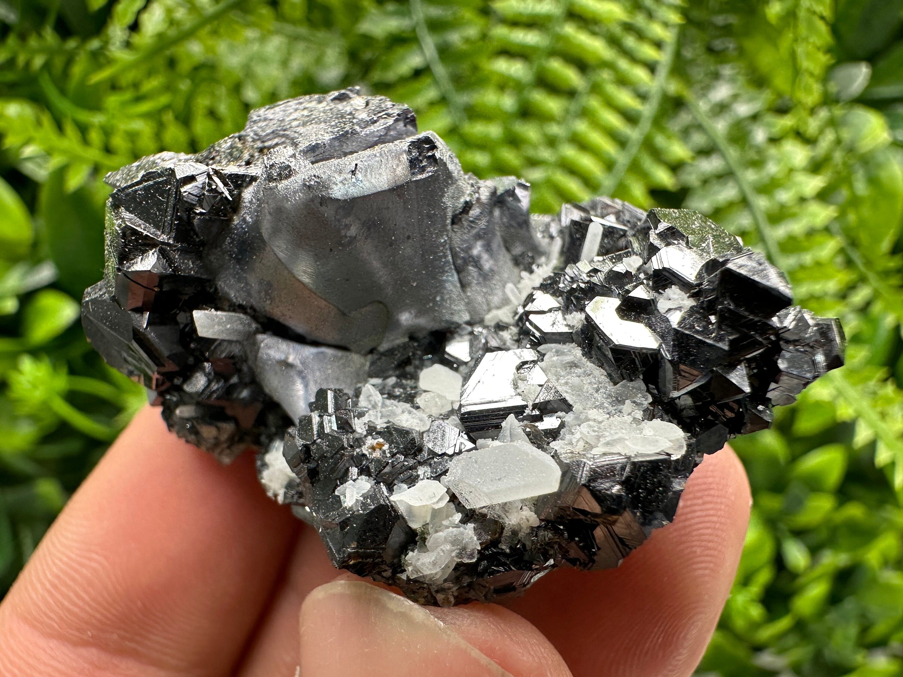 Mirror Galena on Sphalerite with Quartz, Borieva Mine Mineral Specimen