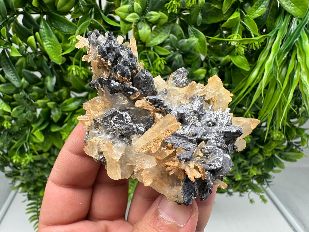 Galena Cluster with Siderite and Quartz: 9th September Mine, Bulgaria