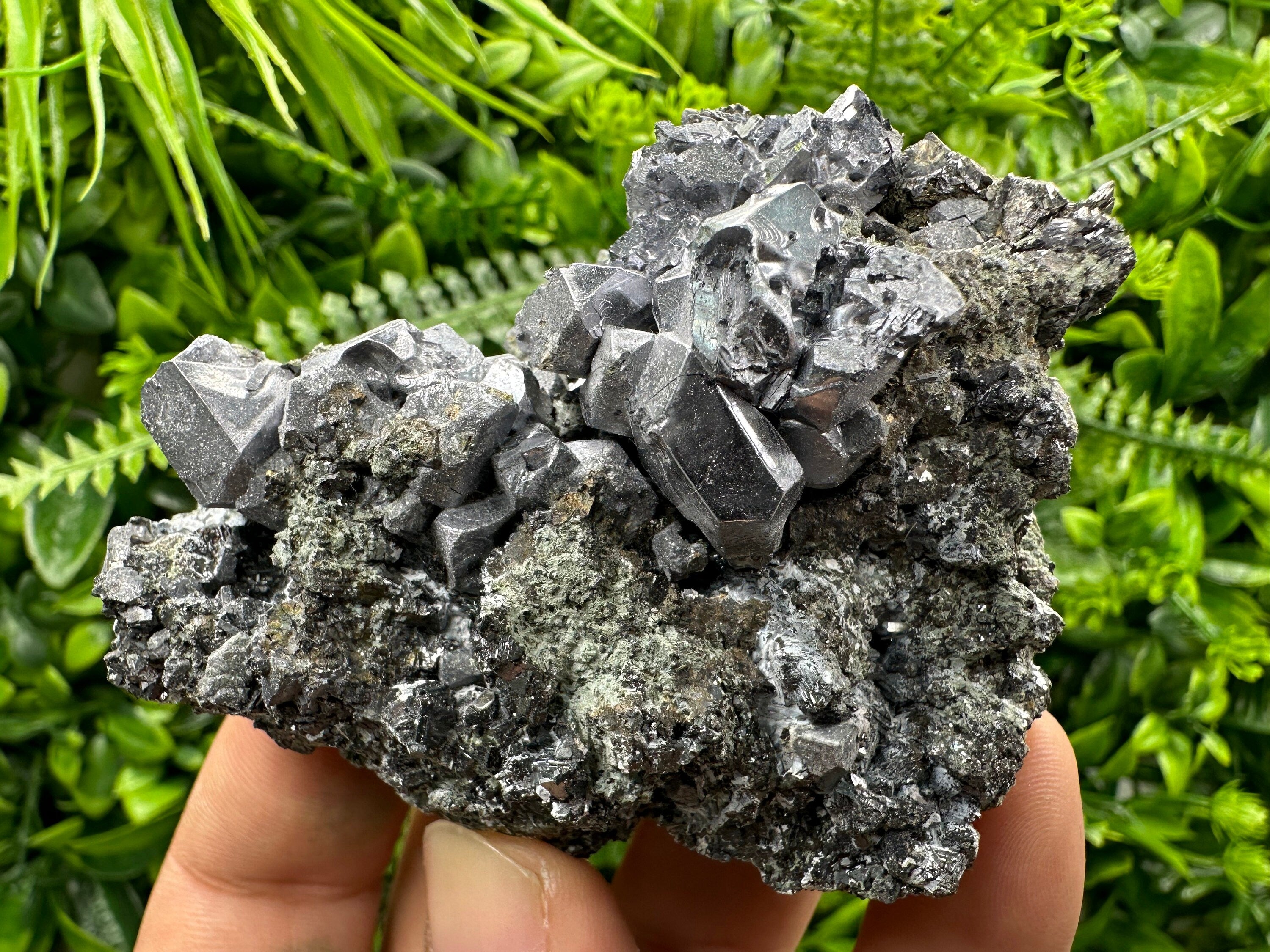 Galena Cluster on Matrix: Natural Mineral Specimen, Bulgaria