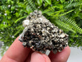 Golden Pyrite Sphalerite Mineral Specimen, Madan Bulgaria