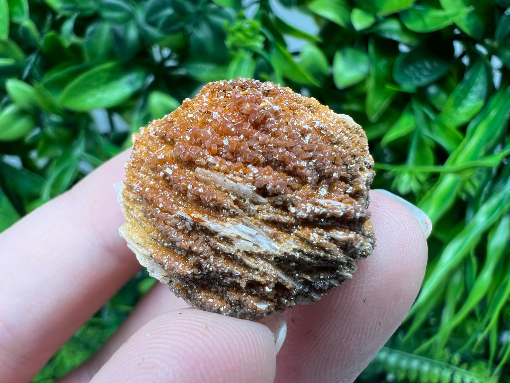 Red Vanadinite on Barite from Marocco,crystal minerals Speciment cluster Vanadinite crystal Vanadinite Geology Vanadinite cluster minerals