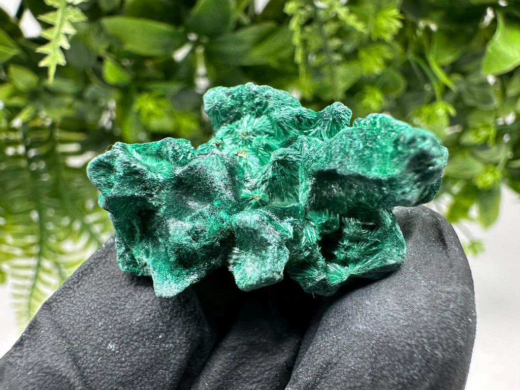 Malachite Crystal from Congo,Minerals,Crystals from Congo,Green Malachite, Malachite,Natural Malachite,Malachite Stone,Chakra, Specimens