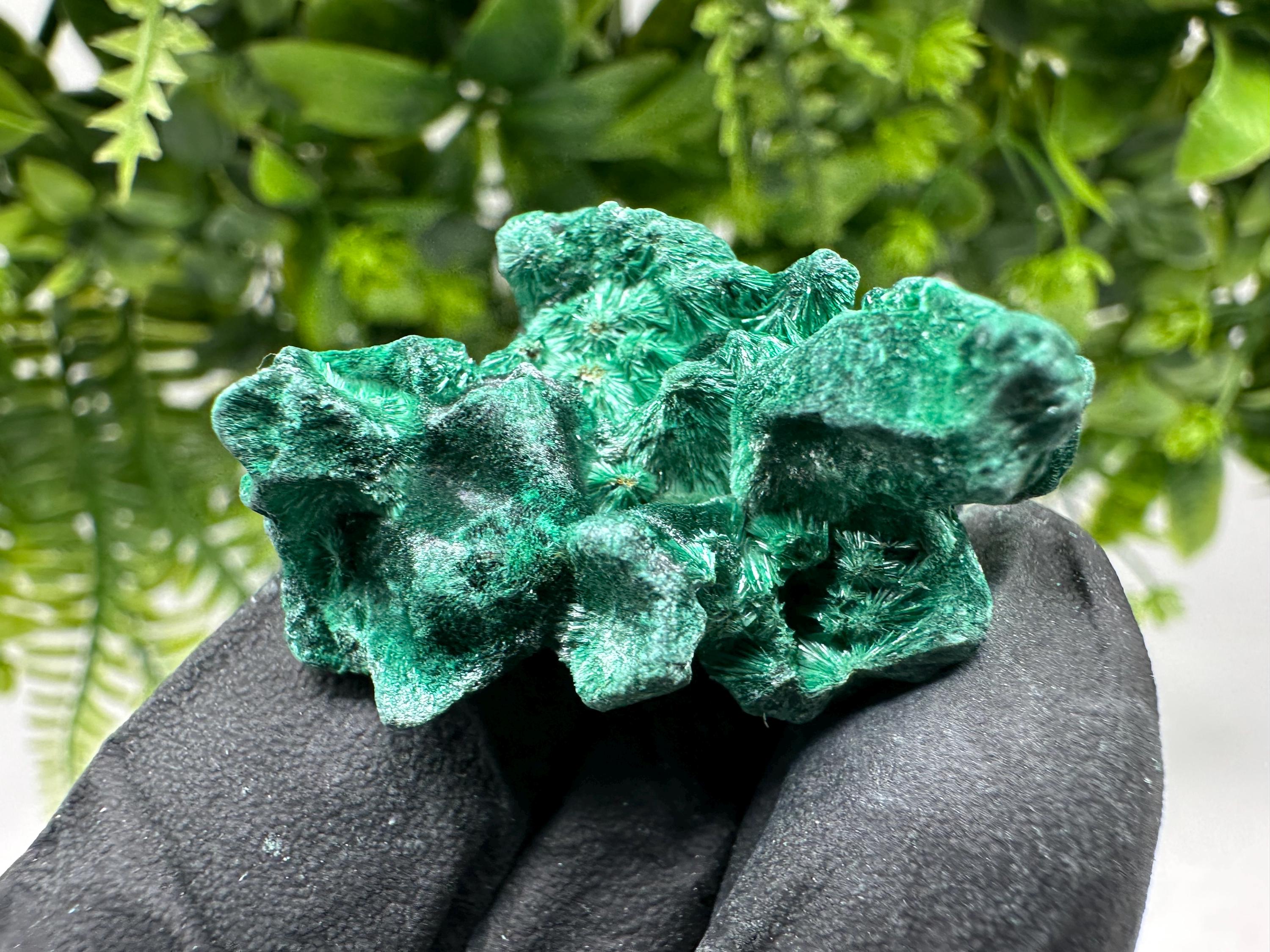Malachite Crystal from Congo,Minerals,Crystals from Congo,Green Malachite, Malachite,Natural Malachite,Malachite Stone,Chakra, Specimens
