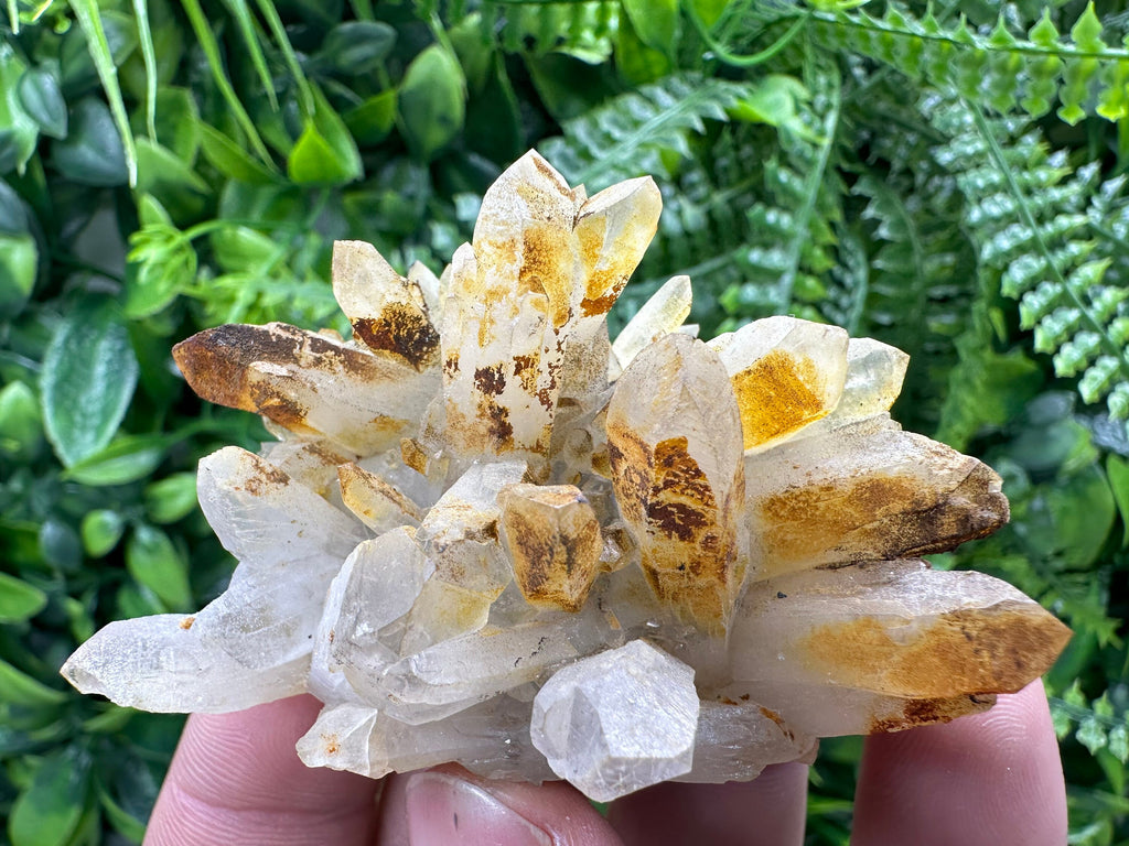 Limonite Coated Quartz Crystal - Natural Mineral Specimen