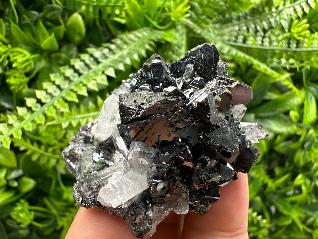 Borieva Sphalerite on Quartz: Rare Mineral Cluster