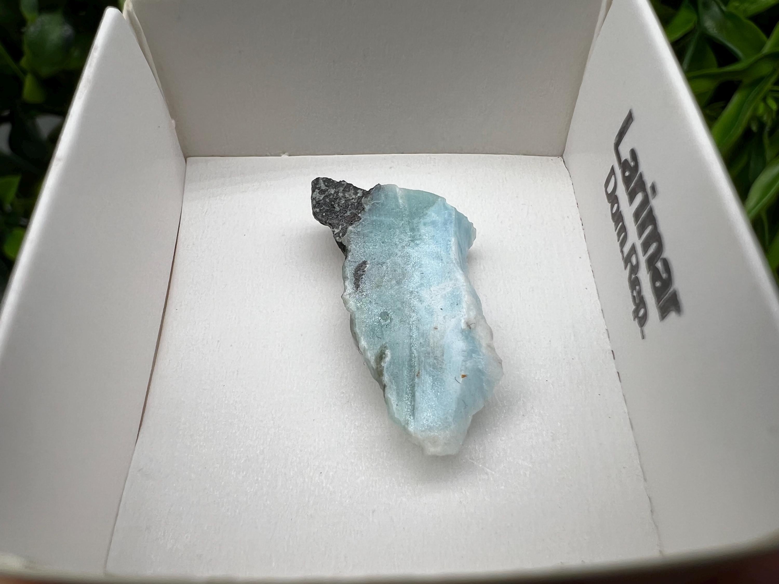 Rare Raw Larimar Specimen: Dominican Republic Crystal (25/15mm)