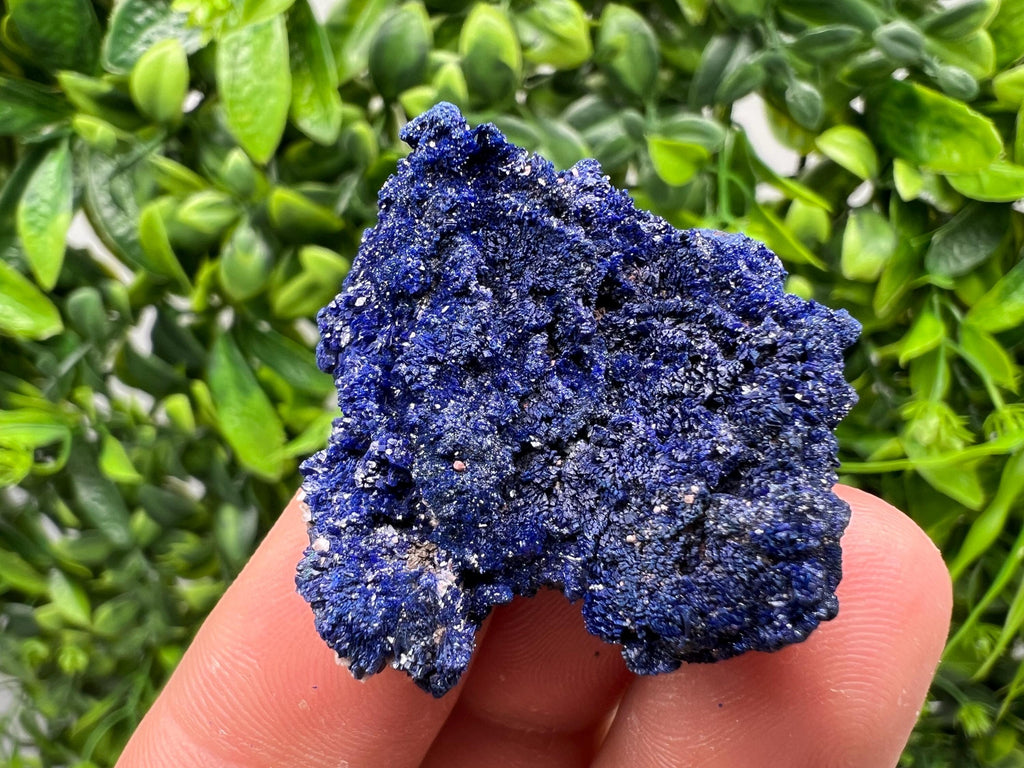 Crystallized Azurite-Kerrouchen,Morocco-Blue Azurite Specimen-High Quality Blue Azurite-Azurite Mineral Specimen, gemmy,lustrous of Azurite